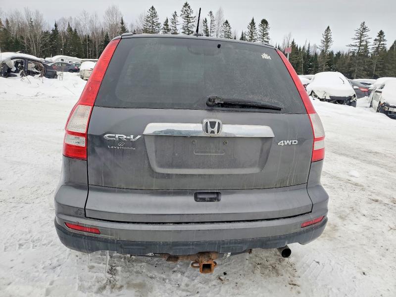 Aukcja sprzedaży 2011 Honda Cr-v, vin: 5J6RE4H71BL819483, numer aukcji: 74548975