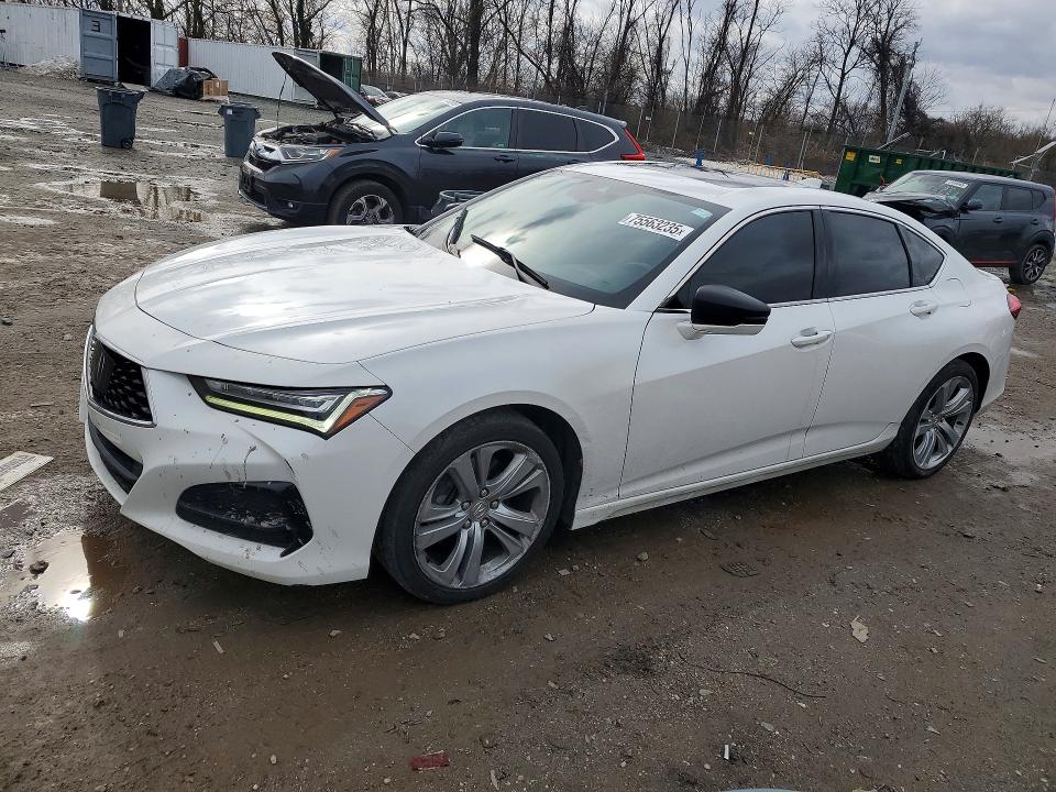 Продаж на аукціоні авто 2021 Acura Tlx, vin: 19UUB6F41MA010000, номер лоту: 75563235