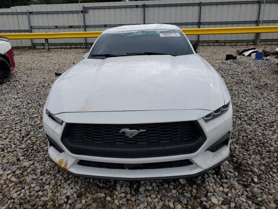Продаж на аукціоні авто 2024 Ford Mustang, vin: 1FA6P8TH4R5118970, номер лоту: 75022715