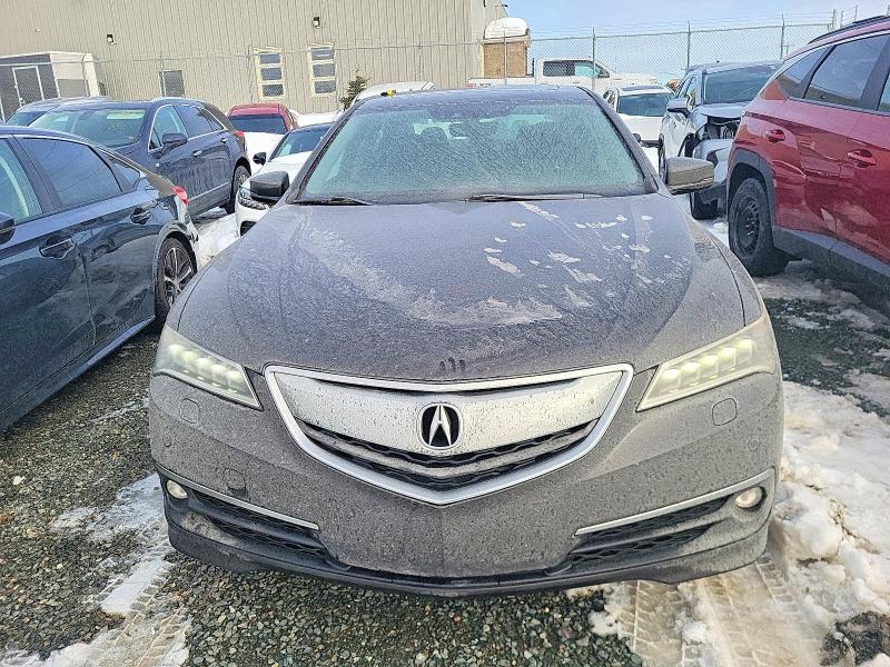 74641015 :رقم المزاد ، 19UUB3F70HA800869 vin ، 2017 Acura Tlx Advanc مزاد بيع
