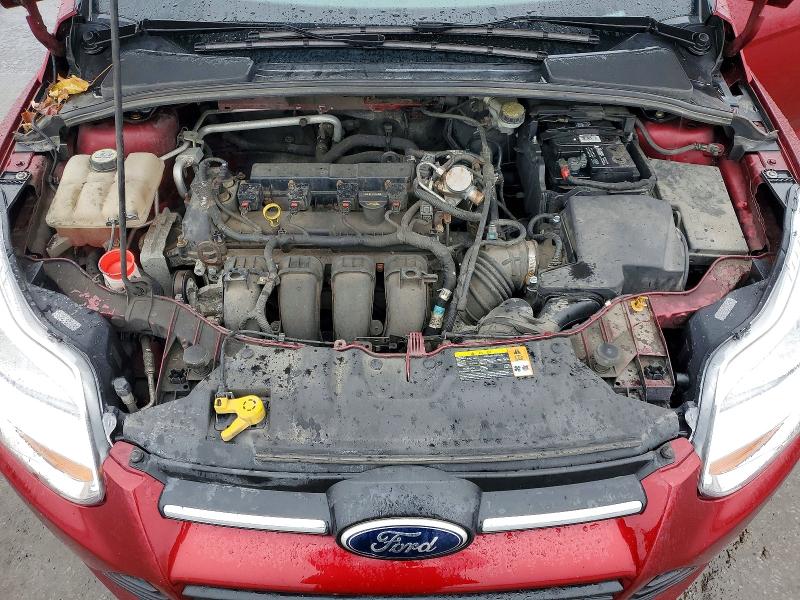 77991955 :رقم المزاد ، 1FADP3F20DL185992 vin ، 2013 Ford Focus مزاد بيع