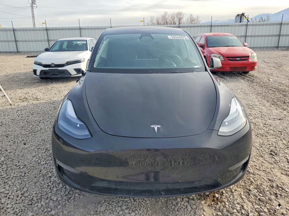 Продаж на аукціоні авто 2025 Tesla Model Y, vin: 7SAYGDEE4SF301324, номер лоту: 78544075