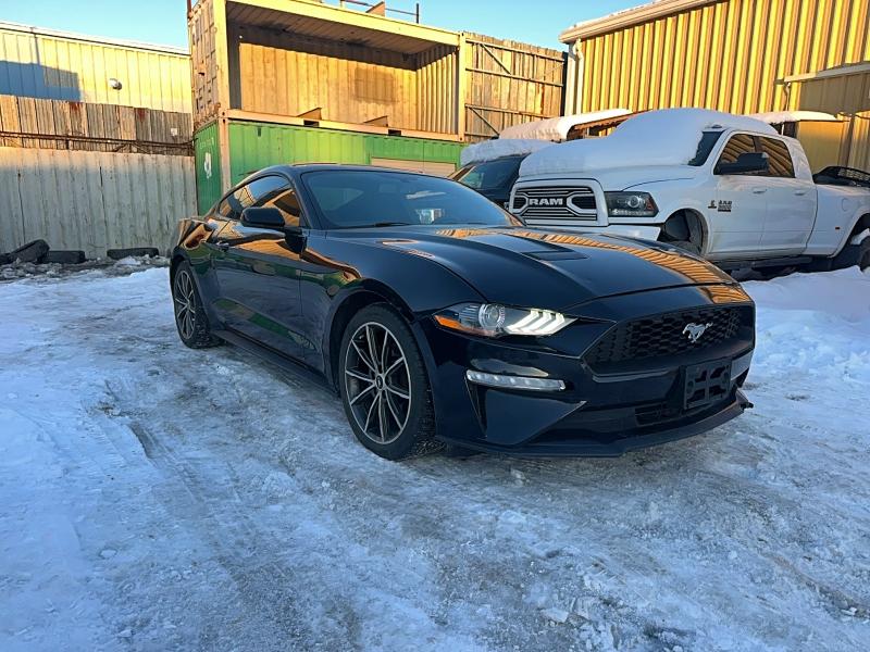 Auction sale of the 2019 Ford Mustang, vin: 1FA6P8TH2K5162598, lot number: 78537325