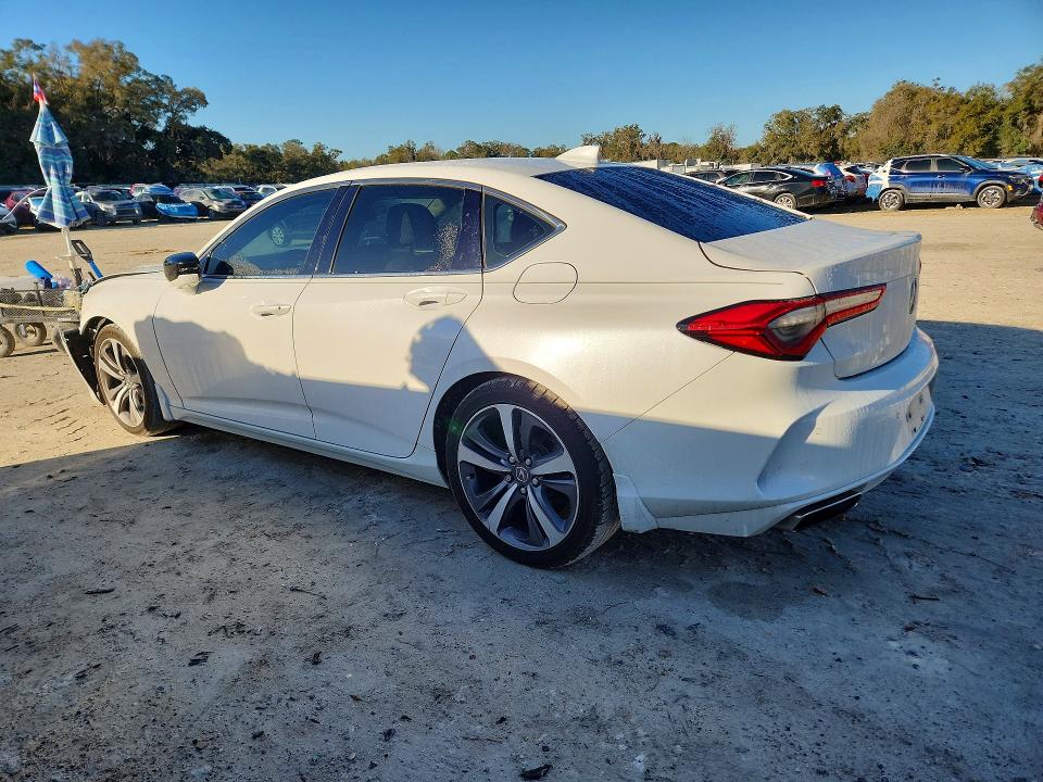 77574865 :رقم المزاد ، 19UUB6F65MA003519 vin ، 2021 Acura Tlx مزاد بيع