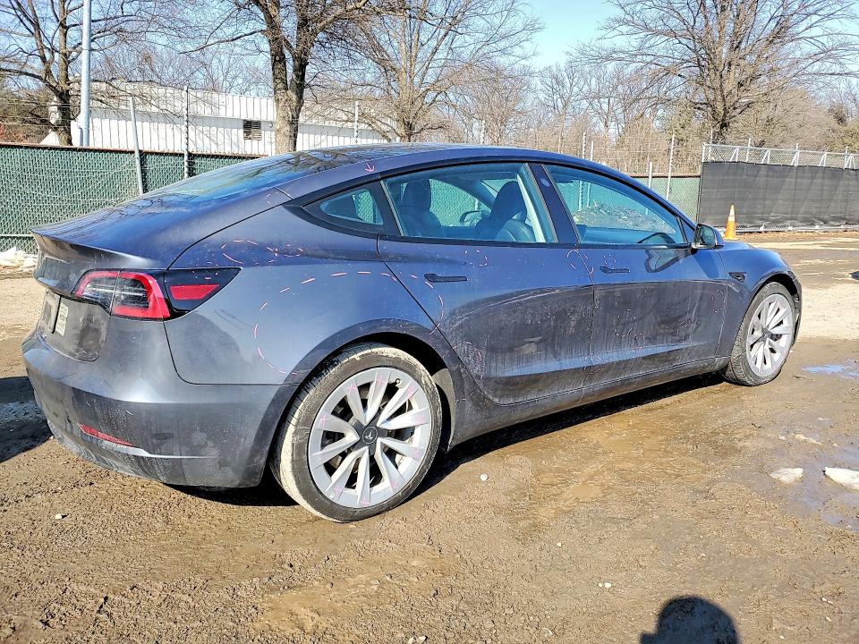 Продаж на аукціоні авто 2023 Tesla Model 3, vin: 5YJ3E1EA2PF549488, номер лоту: 74840645