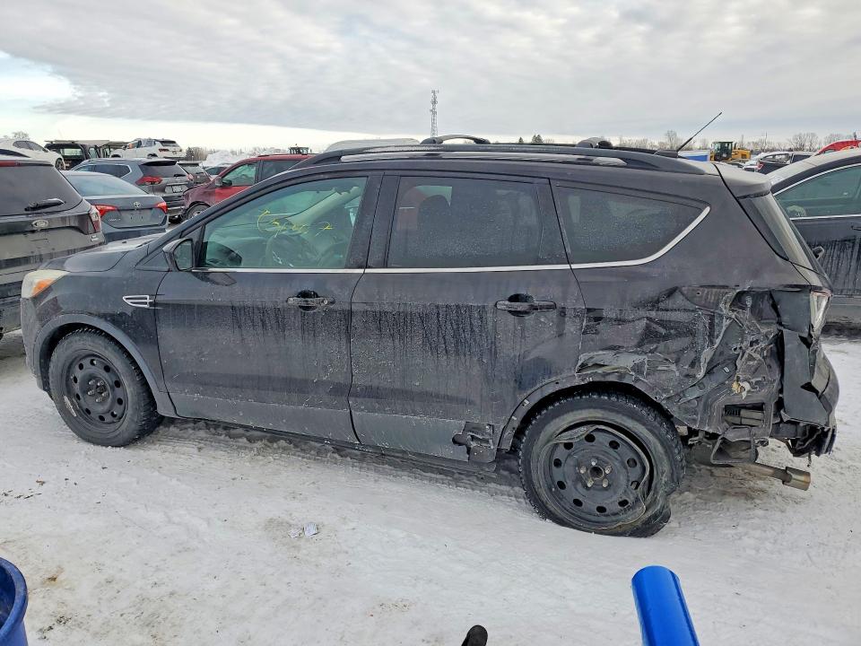 76267065 :رقم المزاد ، 1FMCU0G91DUC49536 vin ، 2013 Ford Escape مزاد بيع