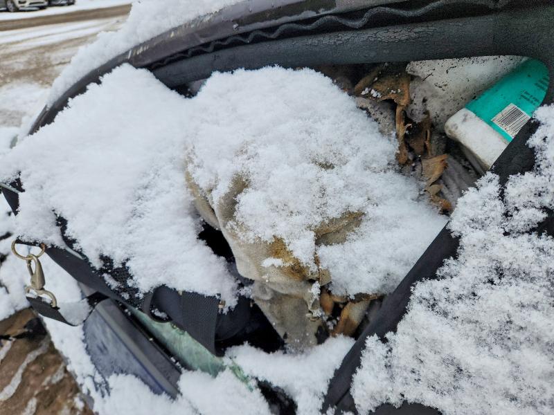 Aukcja sprzedaży 2022 Tesla Model 3, vin: 5YJ3E1EB5NF182401, numer aukcji: 76992295