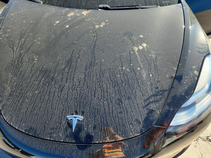 Продажа на аукционе авто 2019 Tesla Model 3, vin: 5YJ3E1EA0KF429360, номер лота: 76020975