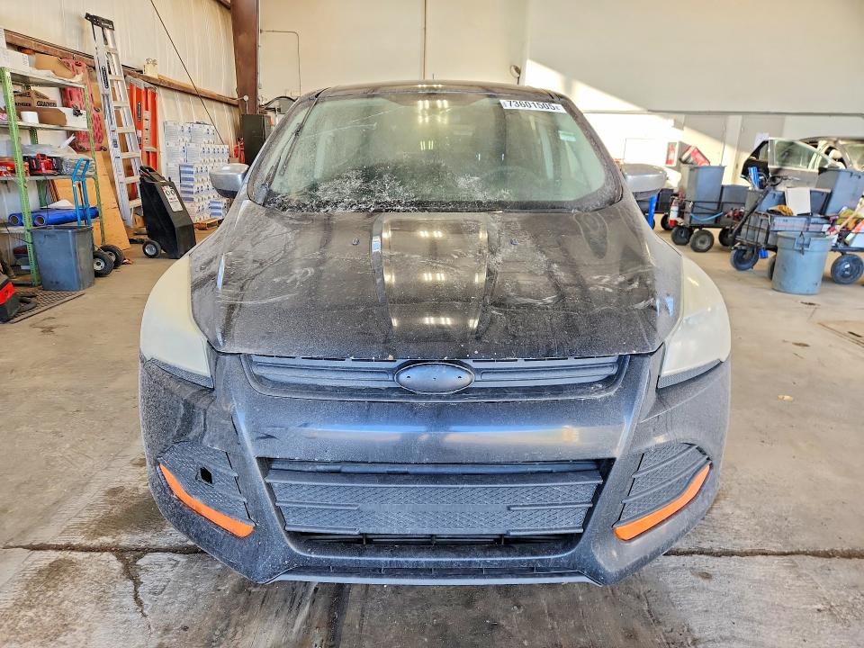 73601505 :رقم المزاد ، 1FMCU0F71DUD05541 vin ، 2013 Ford Escape مزاد بيع