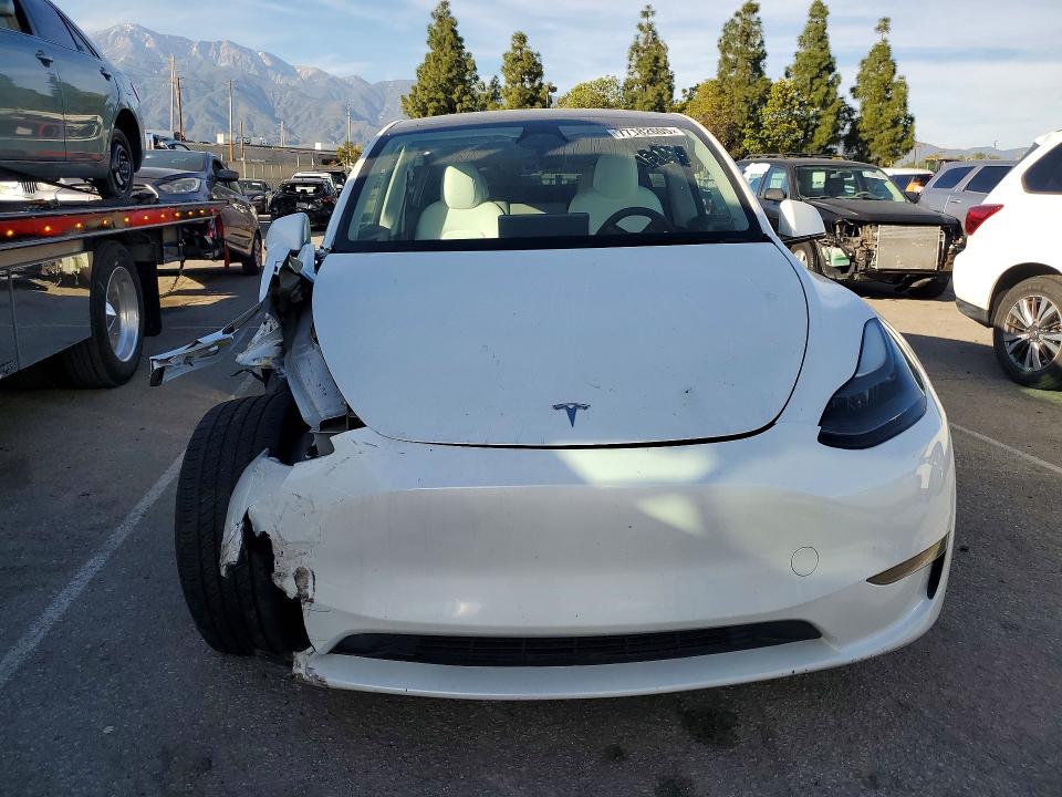 Aukcja sprzedaży 2024 Tesla Model Y, vin: 7SAYGDEE6RF073773, numer aukcji: 77182605