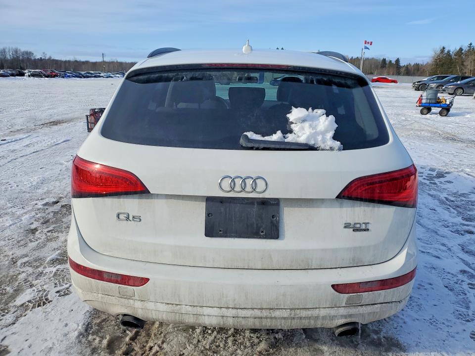 78406625 :رقم المزاد ، WA1CFCFP7DA063298 vin ، 2013 Audi Q5 مزاد بيع