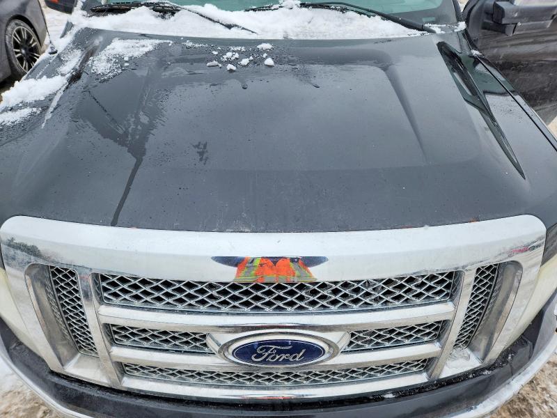Auction sale of the 2010 Ford F150, vin: 1FTFW1EV5AFA05163, lot number: 75796385