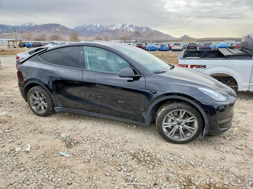 Продажа на аукционе авто 2024 Tesla Model Y, vin: 7SAYGDEE6RA251095, номер лота: 76491075