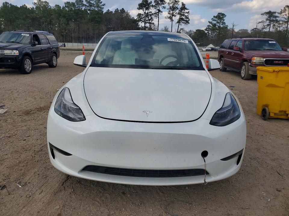 Aukcja sprzedaży 2023 Tesla Model Y, vin: 7SAYGDEE7PF750410, numer aukcji: 77929875