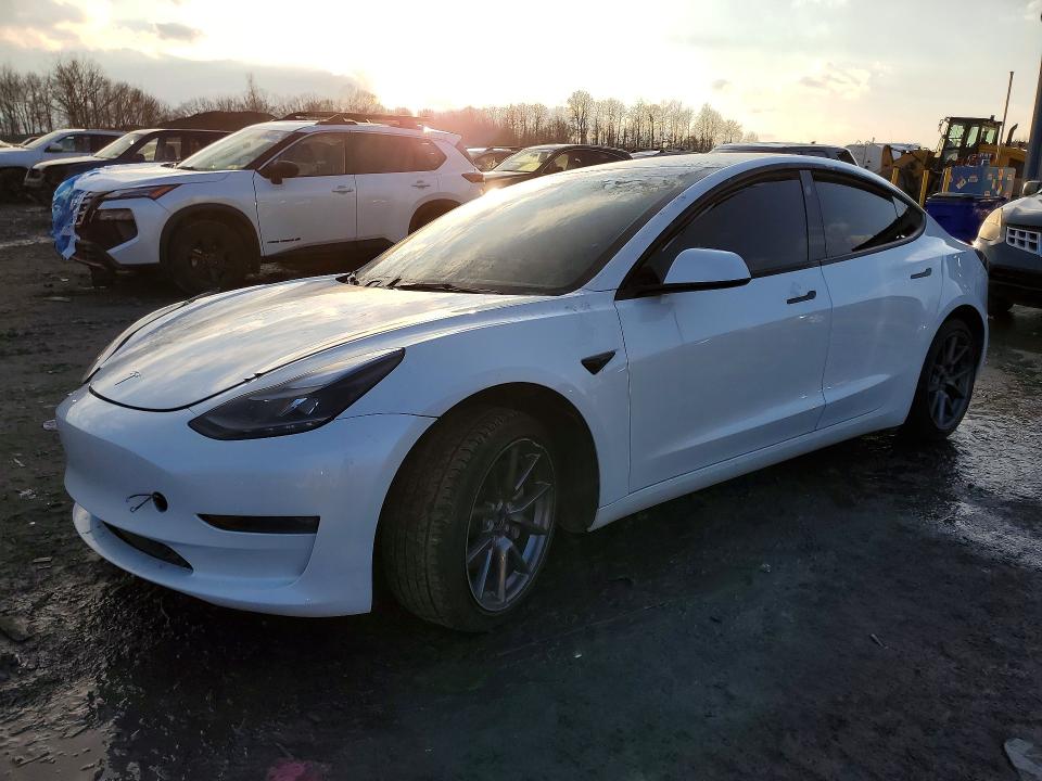 Продаж на аукціоні авто 2023 Tesla Model 3, vin: 5YJ3E1EB0PF637304, номер лоту: 78068075