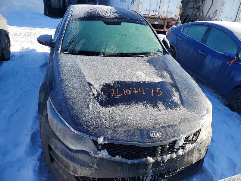 Auction sale of the 2016 Kia Optima, vin: 5XXGT4L30GG081898, lot number: 76107475