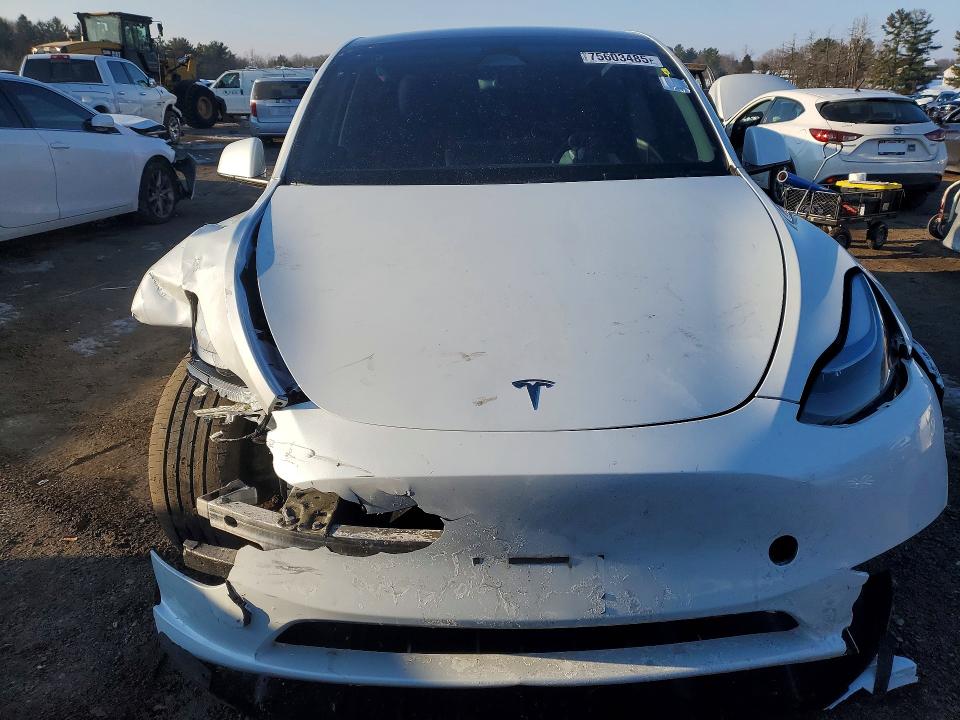 Продаж на аукціоні авто 2024 Tesla Model Y, vin: 7SAYGDED3RF092059, номер лоту: 75603485