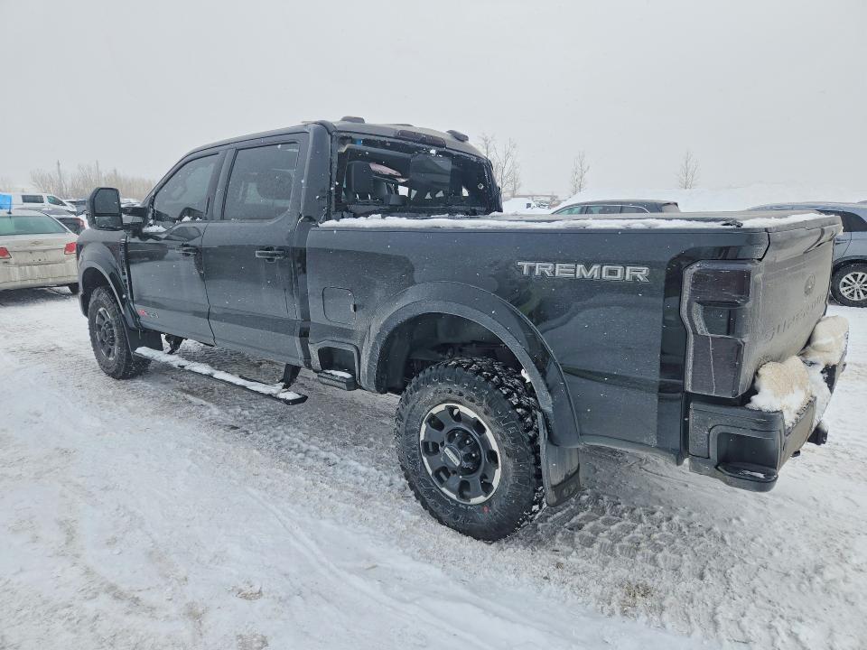 Продажа на аукционе авто 2024 Ford F250, vin: 1FT8W2BM7REC99130, номер лота: 73972855