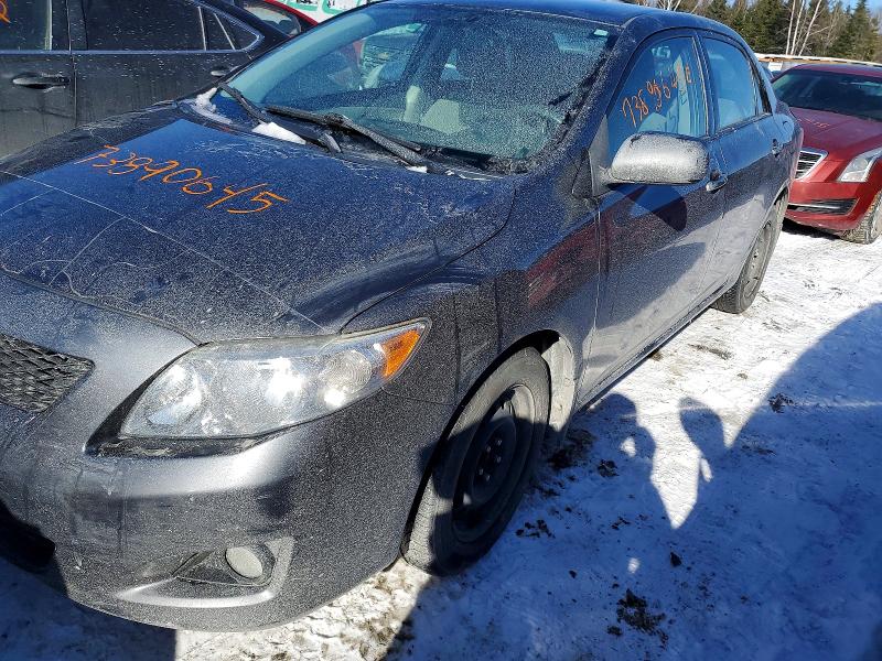 Продажа на аукционе авто 2009 Toyota Corolla, vin: 2T1BU40E99C020802, номер лота: 73890645