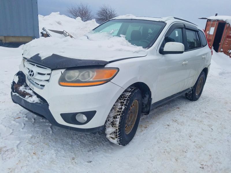 Aukcja sprzedaży 2011 Hyundai Santa Fe, vin: 5XYZGDAG7BG031376, numer aukcji: 77187505