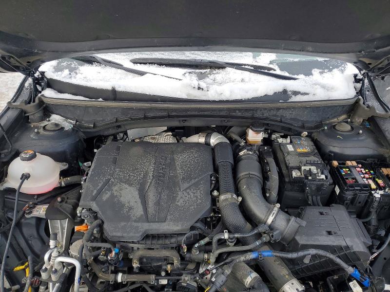 2024 Hyundai Santa Cruz მანქანა იყიდება აუქციონზე, vin: 5NTJCDDF6RH116967, აუქციონის ნომერი: 76763835