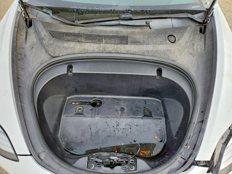 76949255 :رقم المزاد ، 5YJ3E1EA9LF613391 vin ، 2020 Tesla Model 3 مزاد بيع