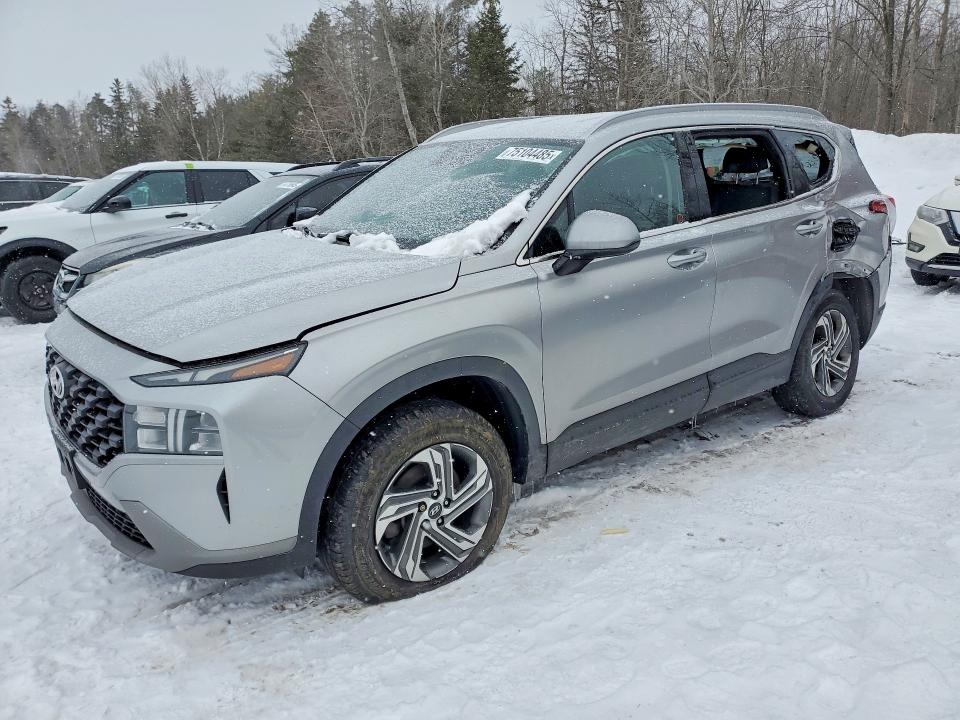 Auction sale of the 2021 Hyundai Santa Fe, vin: 5NMS2DAJ6MH336775, lot number: 75104485
