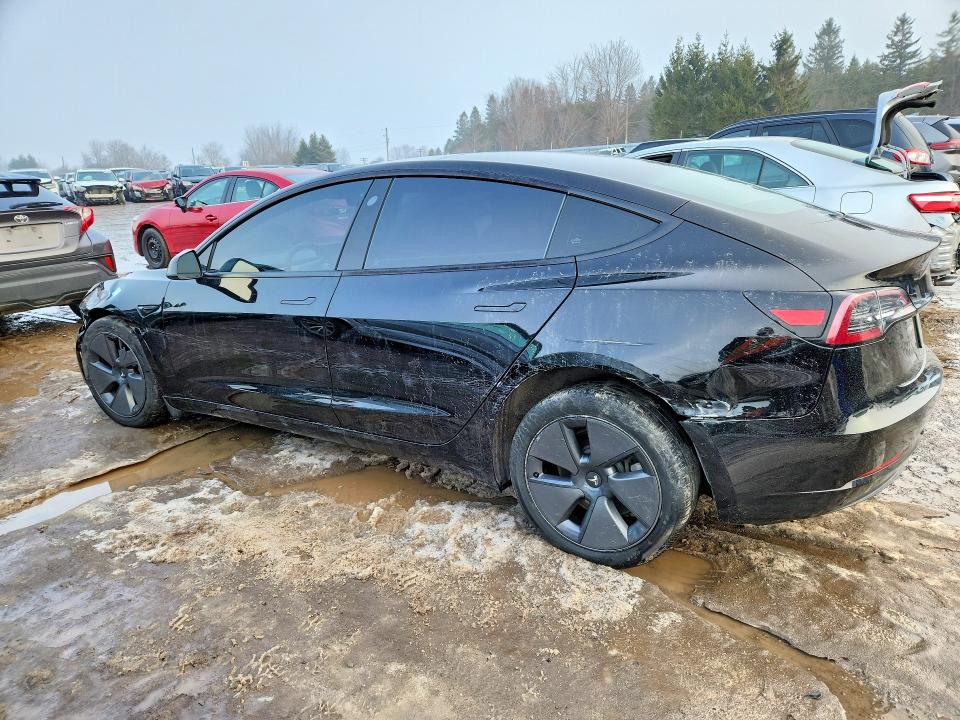 74764425 :رقم المزاد ، 5YJ3E1EA8PF541508 vin ، 2023 Tesla Model 3 مزاد بيع