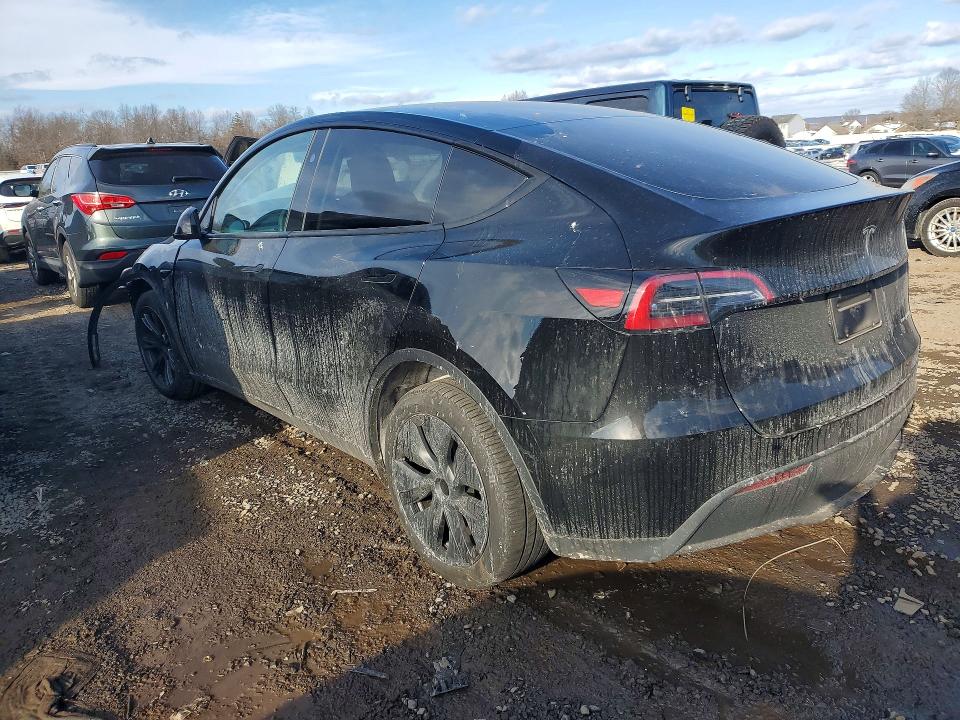 Продаж на аукціоні авто 2024 Tesla Model Y, vin: 7SAYGDEE2RA331039, номер лоту: 76881535