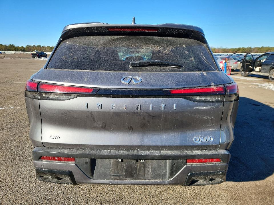 Продаж на аукціоні авто 2023 Infiniti Qx60, vin: 5N1DL1ES1PC373836, номер лоту: 74930105