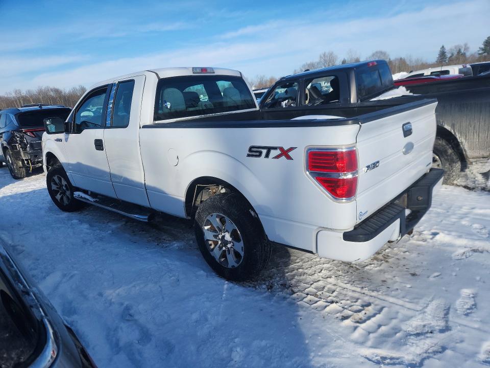 Aukcja sprzedaży 2014 Ford F150, vin: 1FTEX1CM8EKG06745, numer aukcji: 76701485