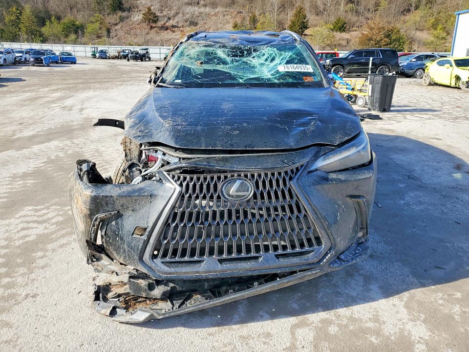 Продаж на аукціоні авто 2025 Lexus Nx, vin: 2T2AGCEZ0SC090005, номер лоту: 78164935
