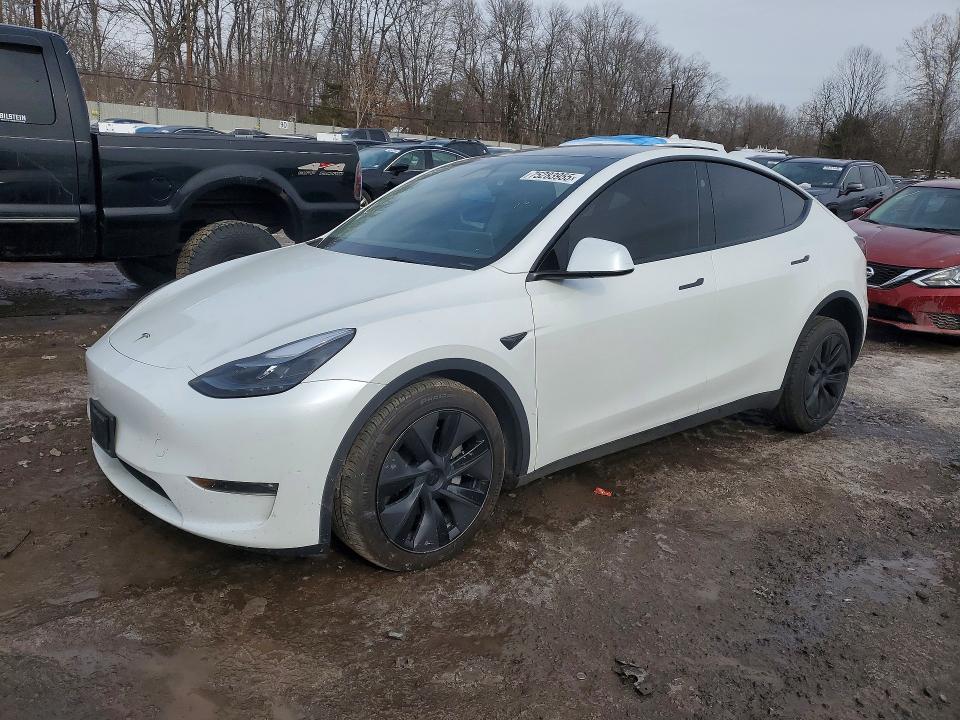 Aukcja sprzedaży 2025 Tesla Model Y, vin: 7SAYGDEE3SF306417, numer aukcji: 75283955