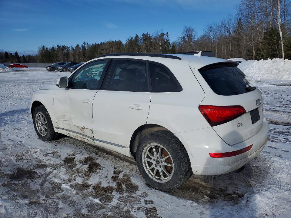 78406625 :رقم المزاد ، WA1CFCFP7DA063298 vin ، 2013 Audi Q5 مزاد بيع