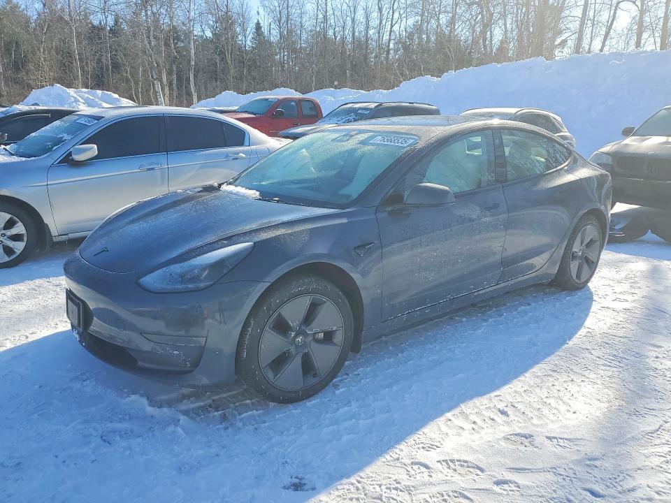 76568535 :رقم المزاد ، 5YJ3E1EA8PF559135 vin ، 2023 Tesla Model 3 مزاد بيع