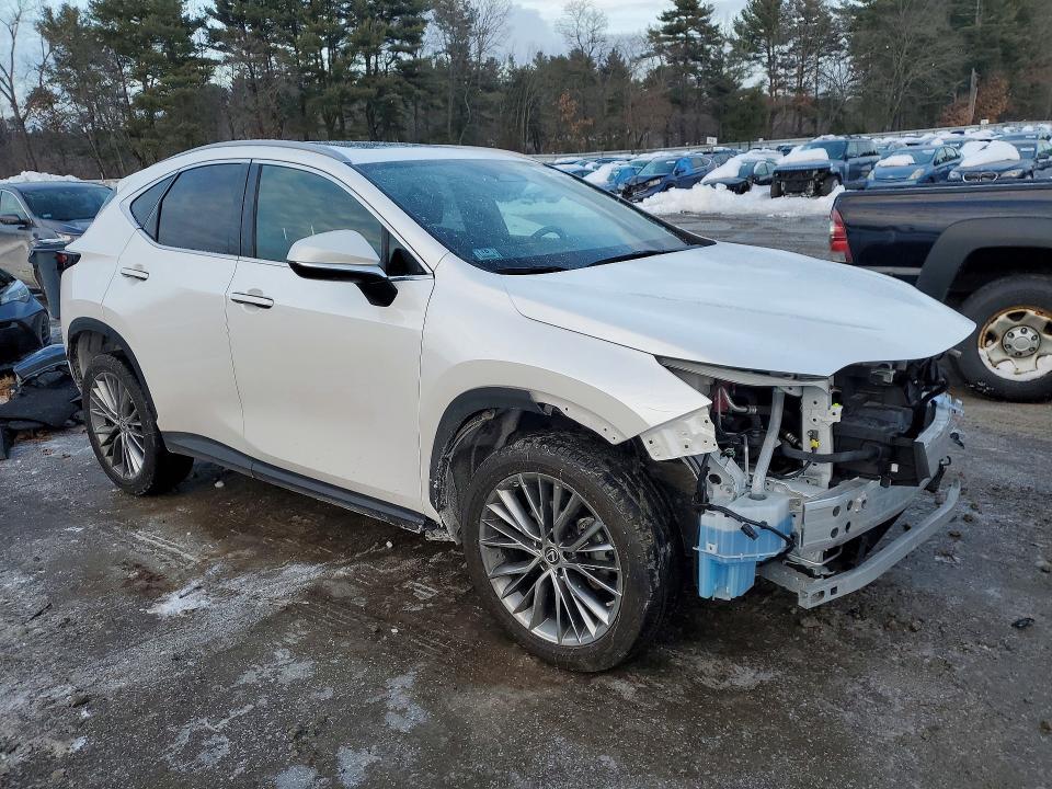 Aukcja sprzedaży 2023 Lexus Nx, vin: 2T2GKCEZ5PC009919, numer aukcji: 76421745