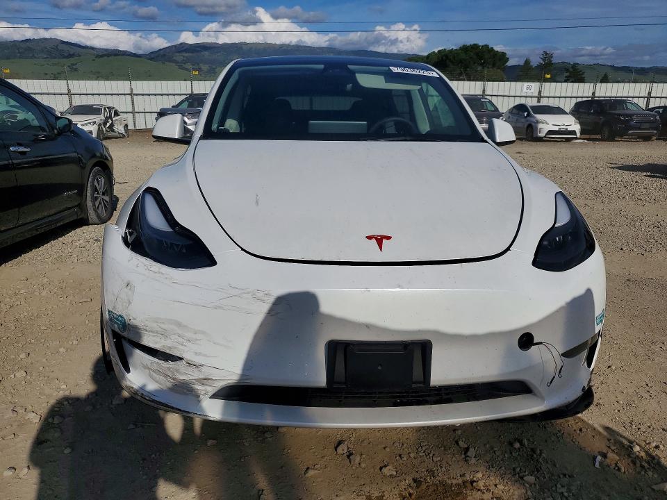 Aukcja sprzedaży 2025 Tesla Model Y, vin: 7SAYGDED9SF321592, numer aukcji: 79036225