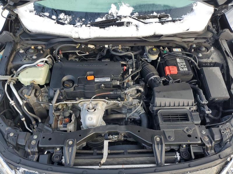 77268105 :رقم المزاد ، 2HGFC2F51HH007435 vin ، 2017 Honda Civic مزاد بيع
