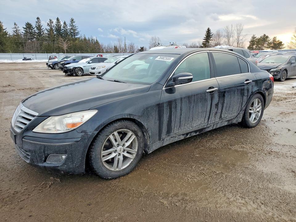 76982555 :رقم المزاد ، KMHGC46E99U053944 vin ، 2009 Hyundai Genesis مزاد بيع