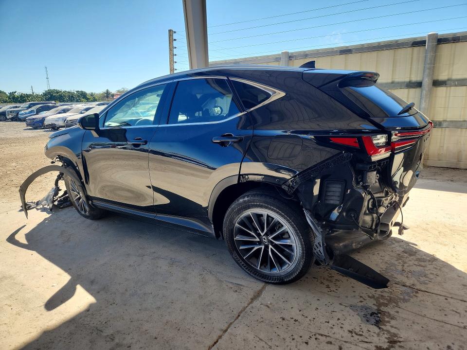 Продажа на аукционе авто 2022 Lexus Nx 250, vin: 2T2ADCAZ9NC001244, номер лота: 78775695