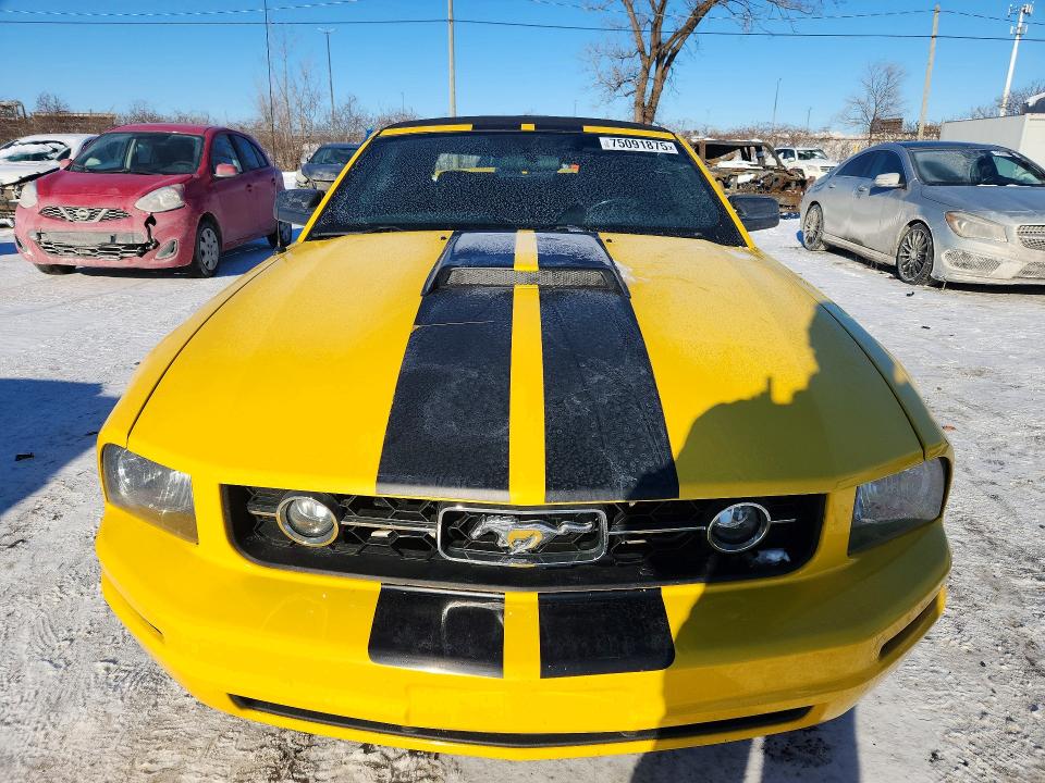 75091875 :رقم المزاد ، 1ZVFT84N565137028 vin ، 2006 Ford Mustang مزاد بيع