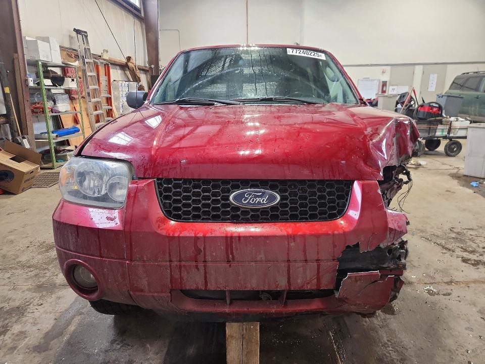 77240225 :رقم المزاد ، 1FMYU94135KD09256 vin ، 2005 Ford Escape مزاد بيع