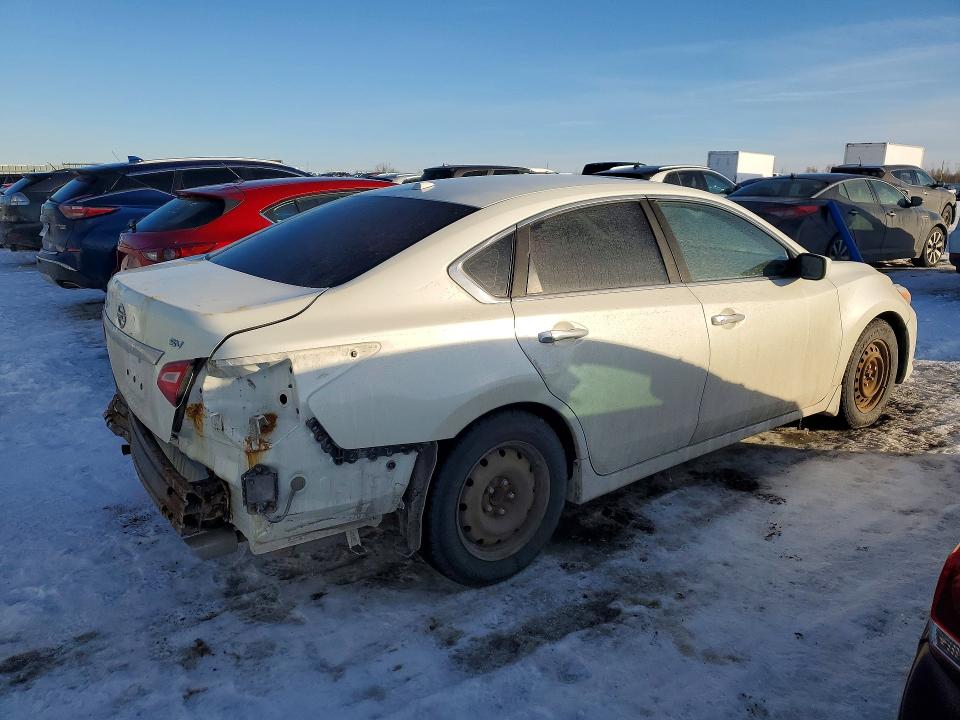 Продаж на аукціоні авто 2017 Nissan Altima, vin: 1N4AL3AP9HC284219, номер лоту: 77743145