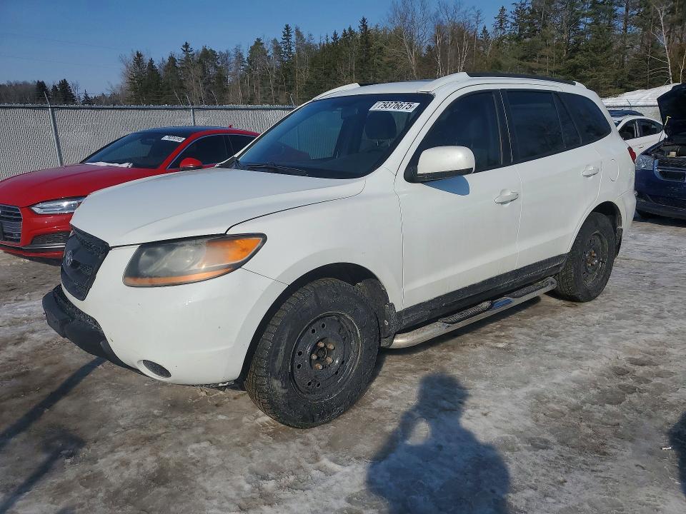 Продаж на аукціоні авто 2009 Hyundai Santa Fe, vin: 5NMSG13D69H273532, номер лоту: 79376675