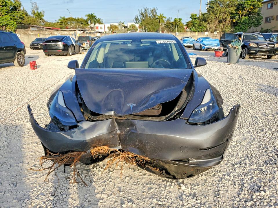 Продажа на аукционе авто 2023 Tesla Model 3, vin: 5YJ3E1EA0PF563230, номер лота: 77557595