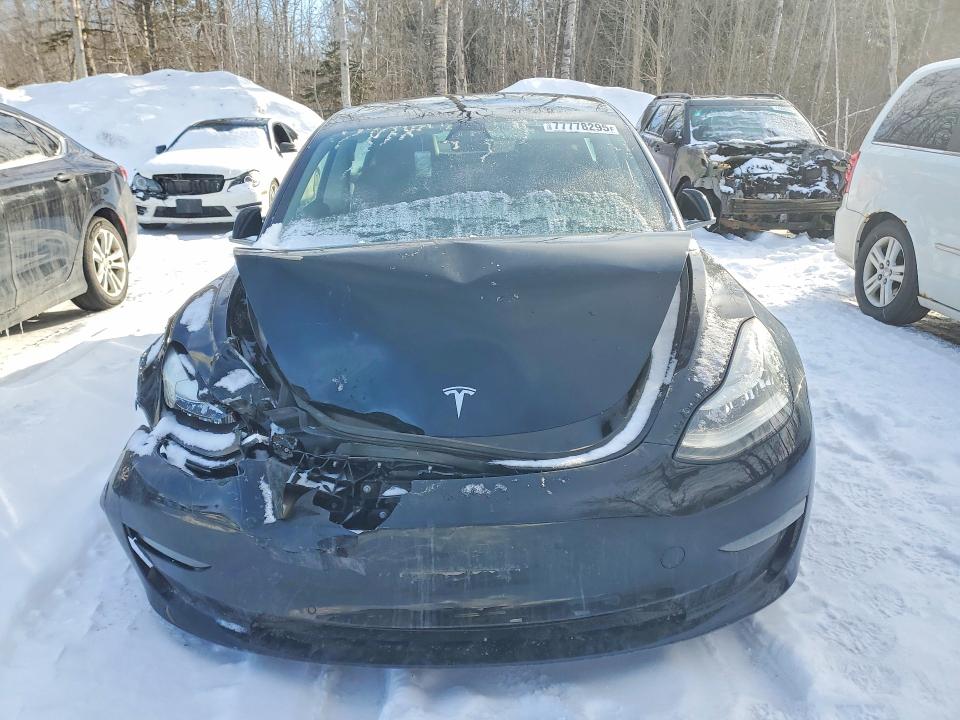 77778295 :رقم المزاد ، 5YJ3E1EA8KF407719 vin ، 2019 Tesla Model 3 مزاد بيع