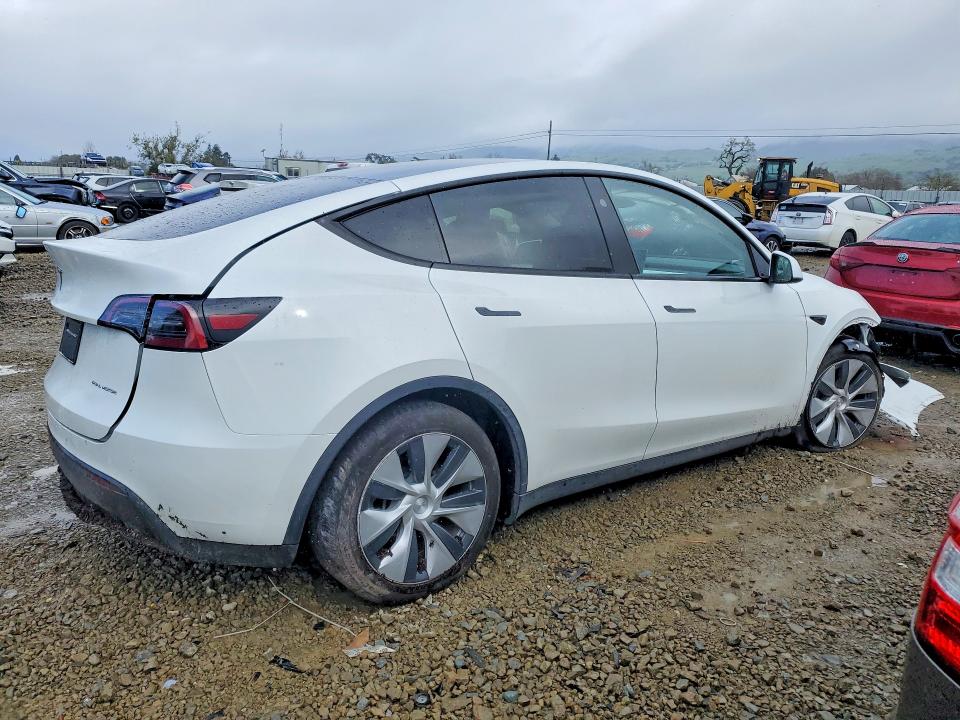Aukcja sprzedaży 2024 Tesla Model Y, vin: 7SAYGDEE4RF056471, numer aukcji: 77807305