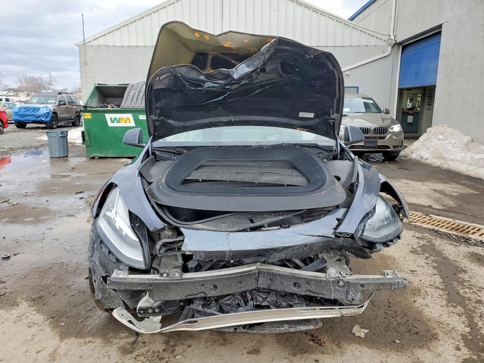 Продаж на аукціоні авто 2023 Tesla Model Y, vin: 7SAYGDEE3PA032544, номер лоту: 76851775