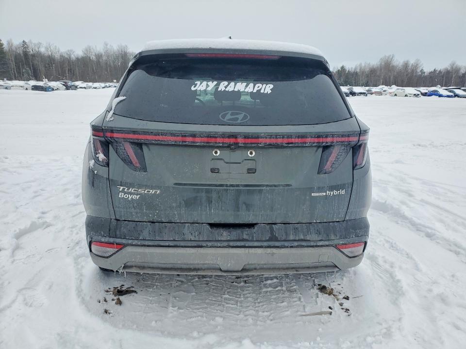 2025 Hyundai Tucson მანქანა იყიდება აუქციონზე, vin: KM8JCDD14SU397063, აუქციონის ნომერი: 75982915