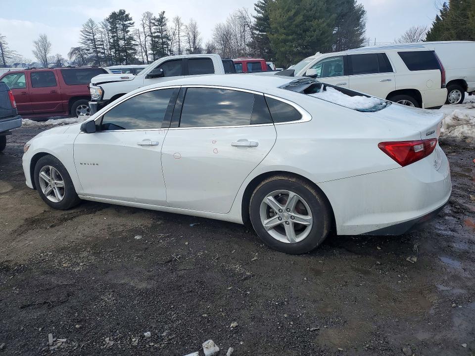 77012965 :رقم المزاد ، 1G1ZB5ST2LF157738 vin ، 2020 Chevrolet Malibu مزاد بيع